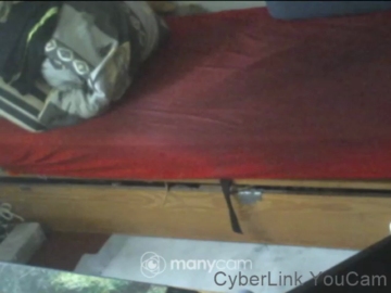 marchoso2  02-08-2021 Recorded Video Download